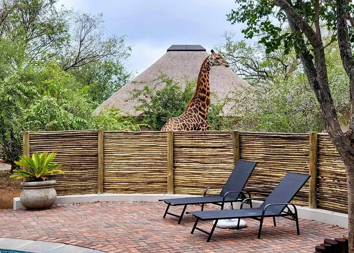 Taaibos Bush Lodge