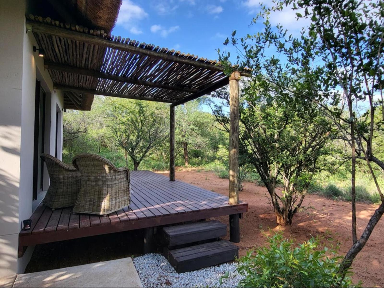 Taaibos Bush * Hoedspruit