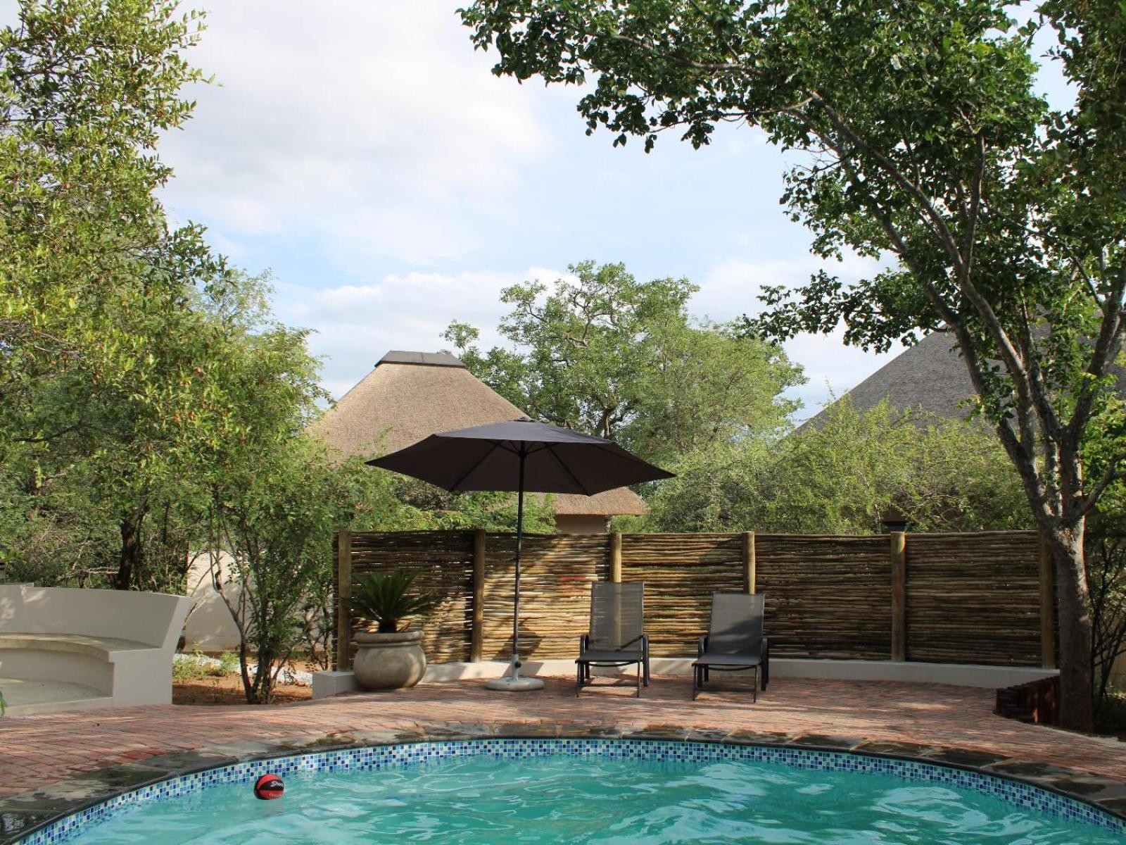 Lodge Taaibos Bush Hoedspruit