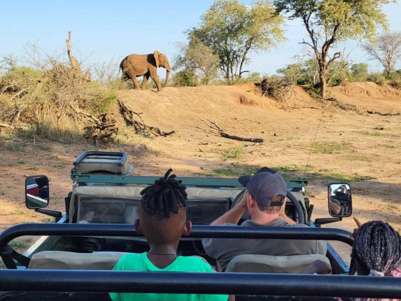 Taaibos Bush Lodge Hoedspruit