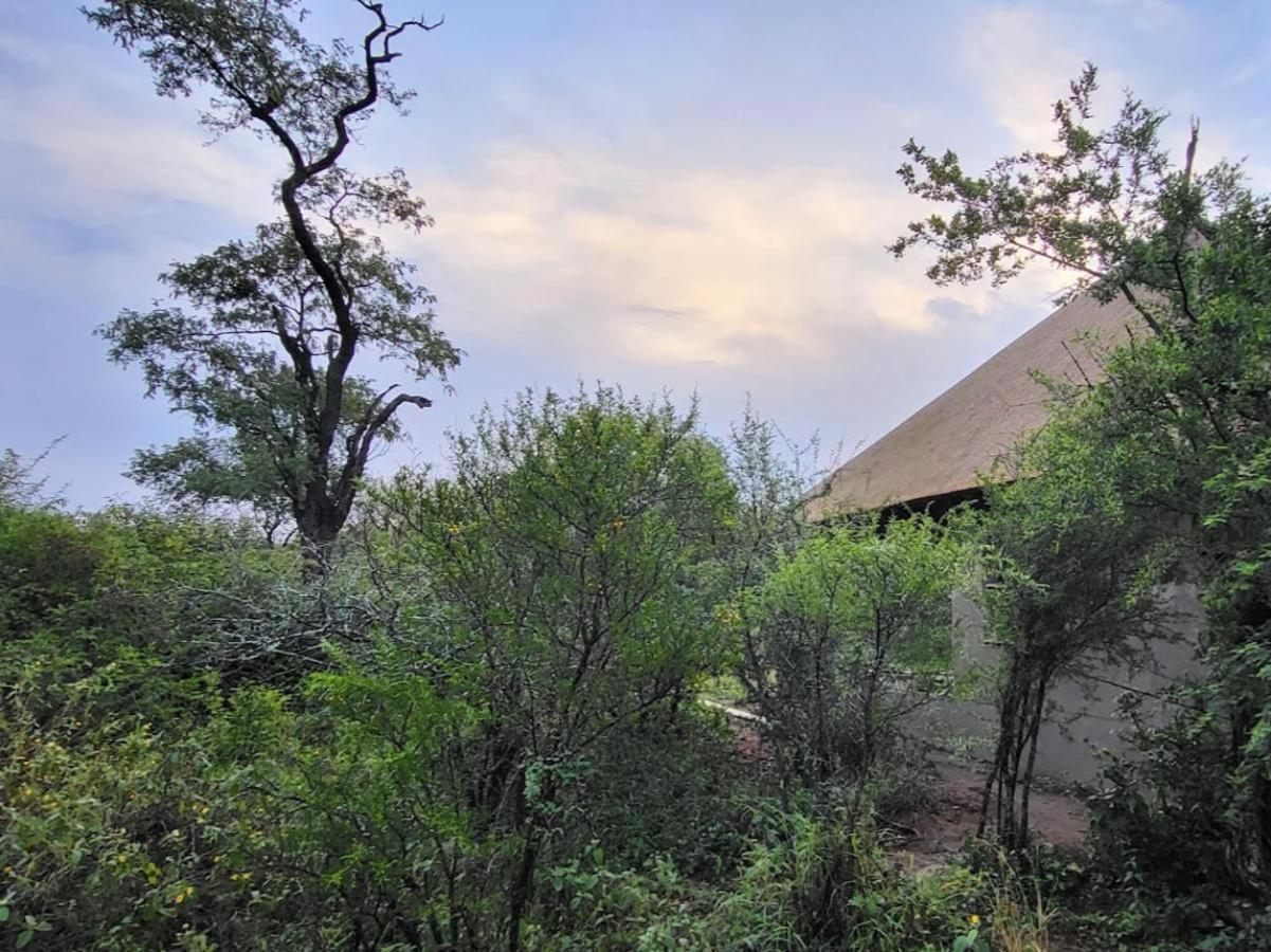 Lodge Taaibos Bush *