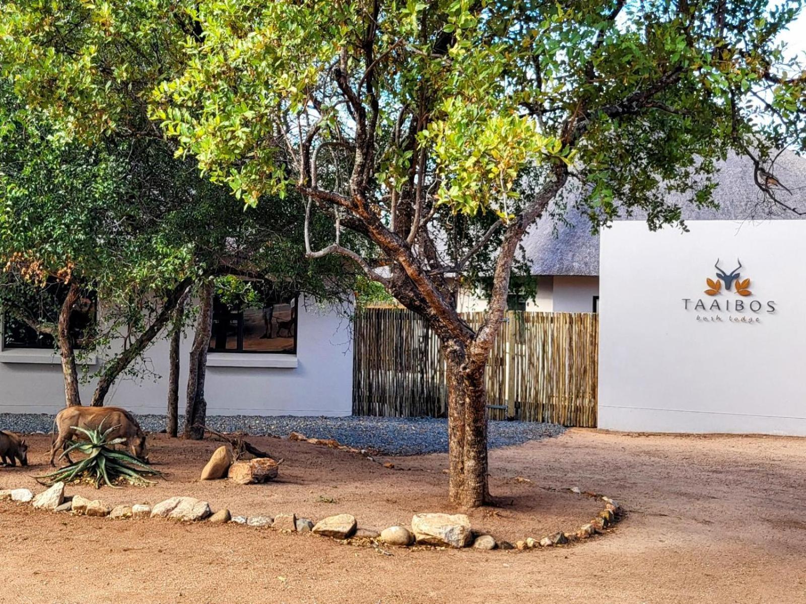 Lodge Taaibos Bush *