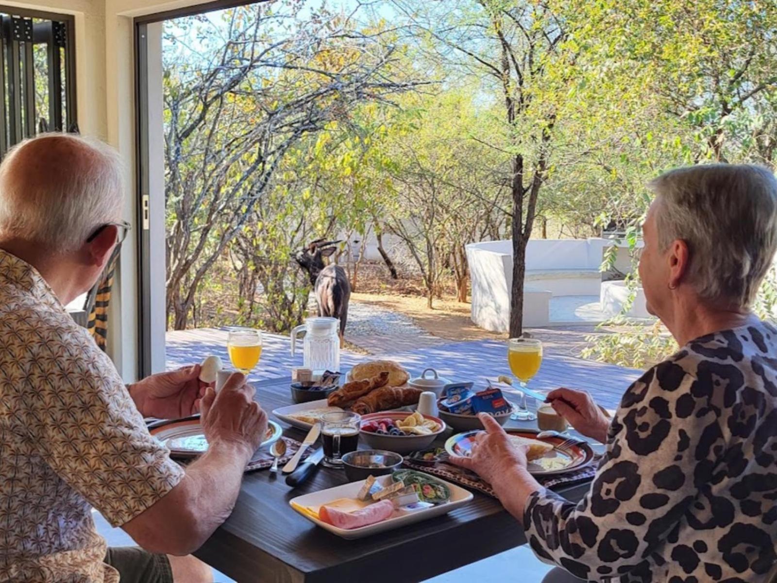 Lodge Taaibos Bush Hoedspruit