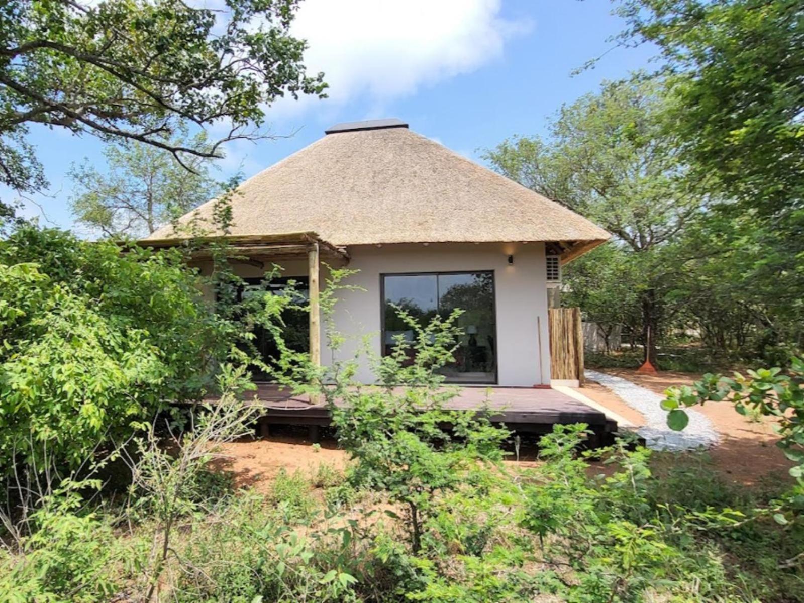 Taaibos Bush Hoedspruit