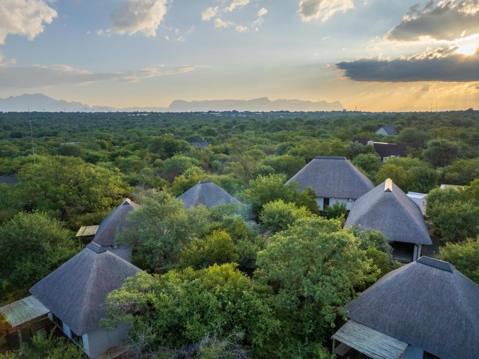Lodge Taaibos Bush Hoedspruit